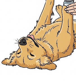 れとりば